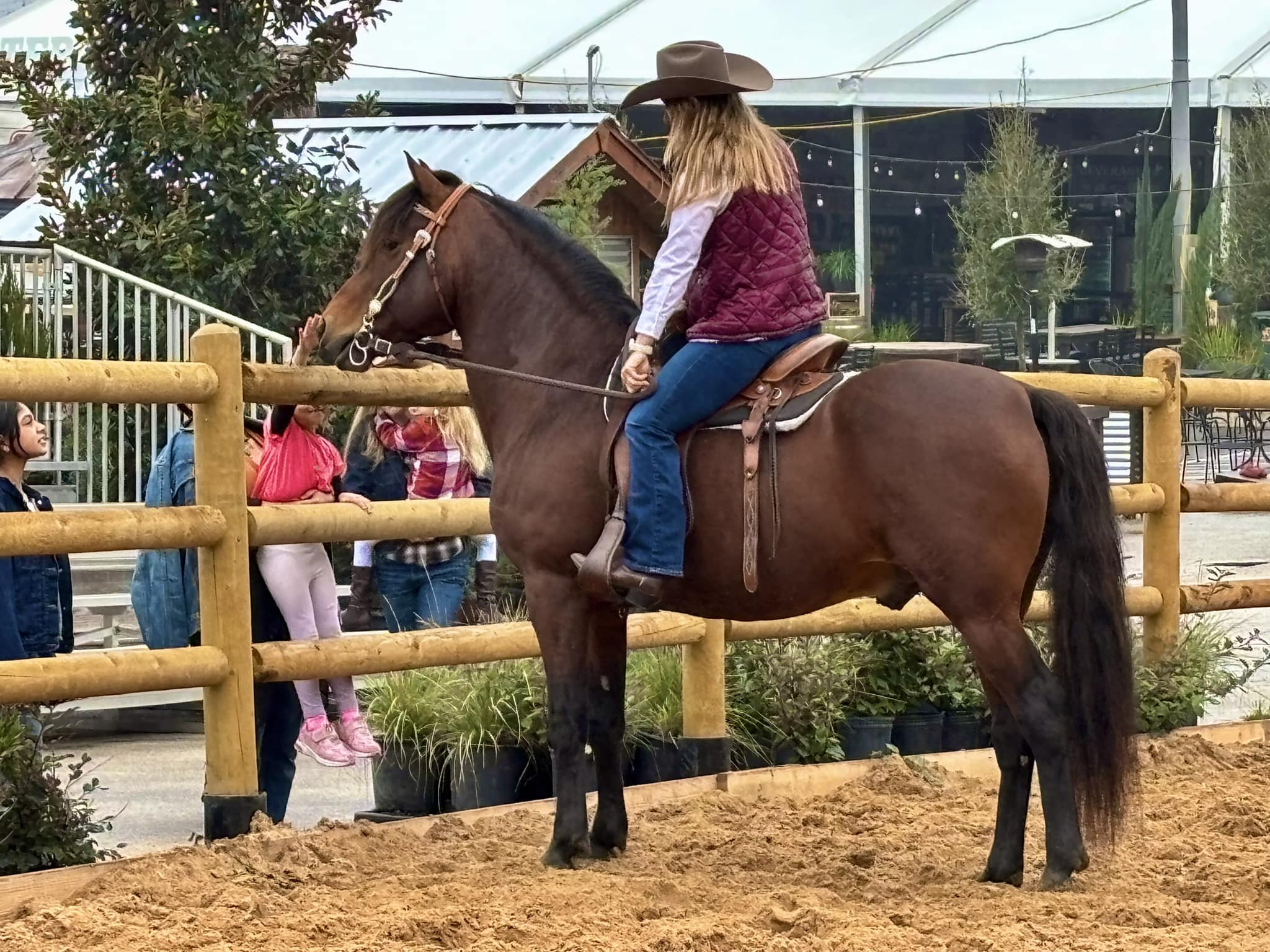Okan Count On Me standing under saddle beside spectators