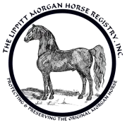 The Lippitt Morgan Horse Registry engraving of a Morgan horse