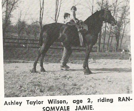 Vintage newsprint photograph of a two-year-old child riding the Lippitt stallion Ransomvale Jamie